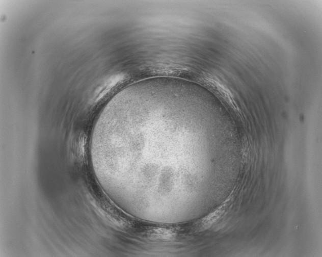 X0000086980166200704231828