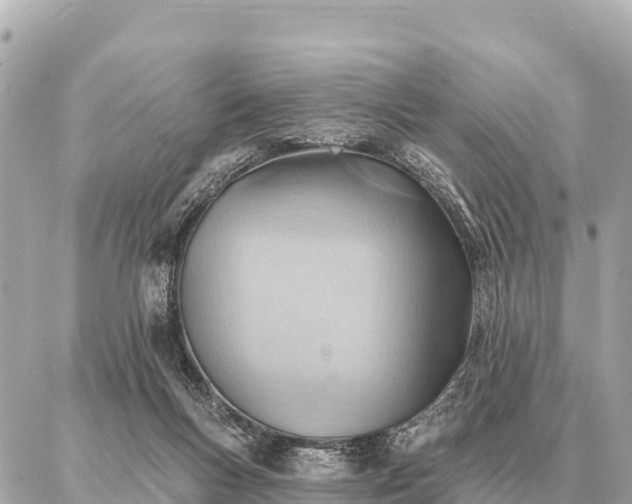 X0000086980167200704231828