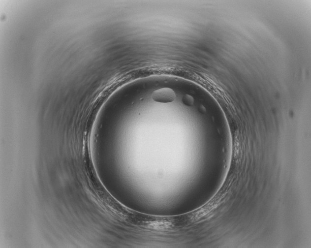 X0000086980168200704231828