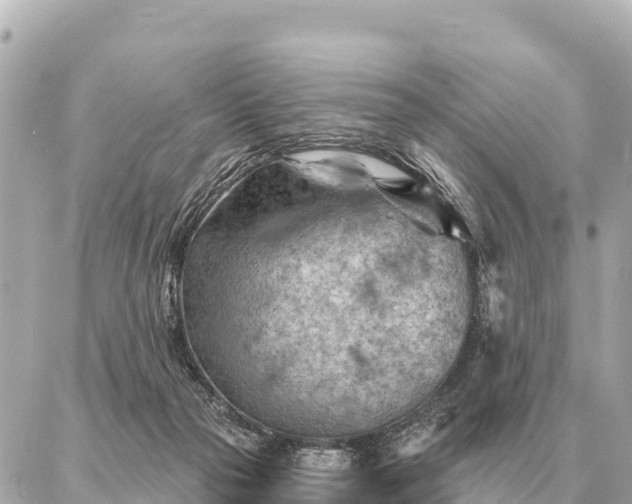 X0000086980169200704231828