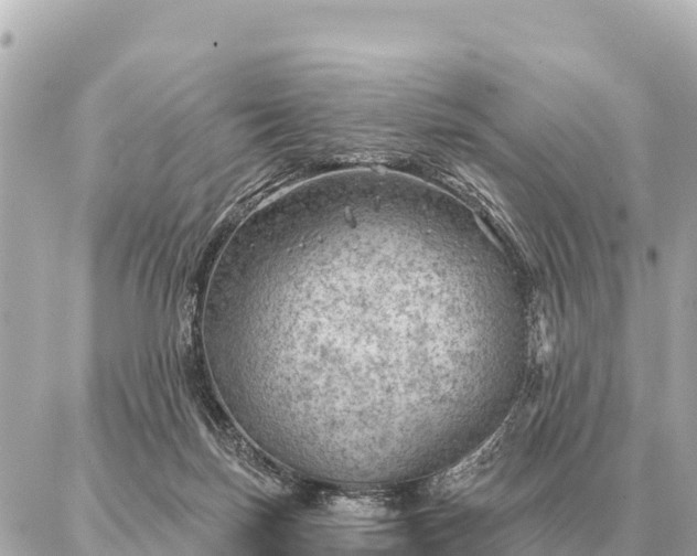 X0000086980171200704231828