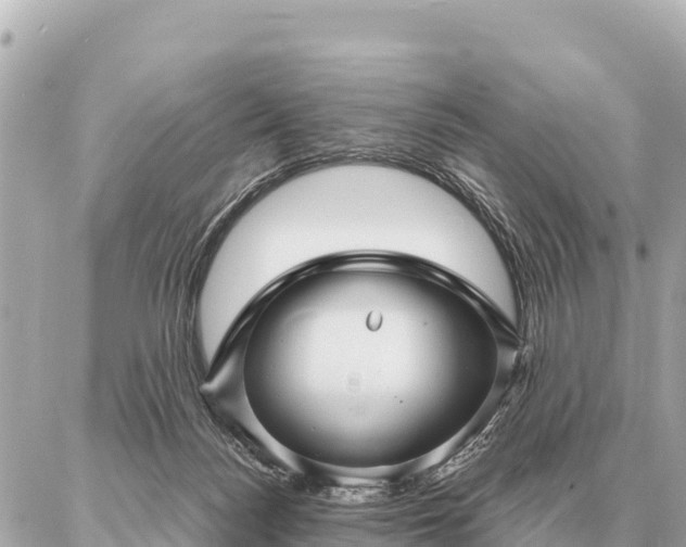 X0000086980172200704231828