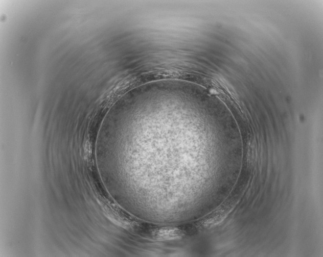 X0000086980173200704231828