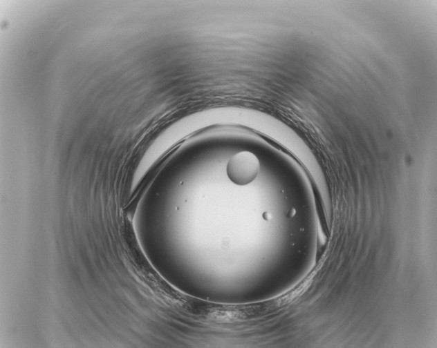 X0000086980174200704231828