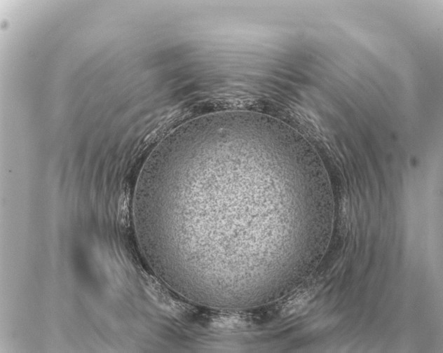 X0000086980177200704231828