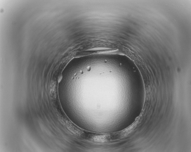 X0000086980178200704231828