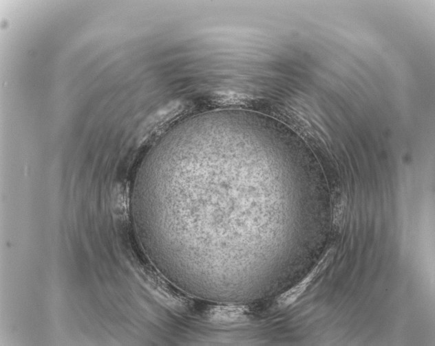 X0000086980179200704231828