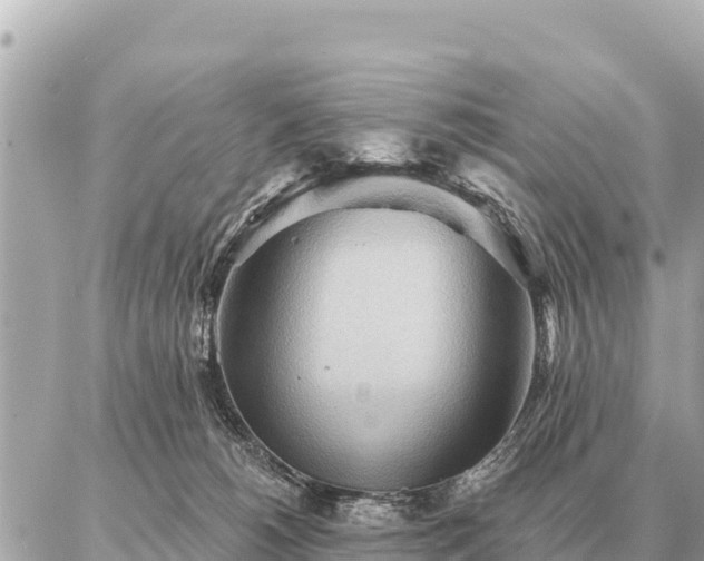 X0000086980180200704231828