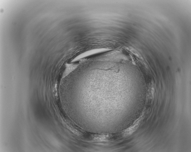 X0000086980182200704231828