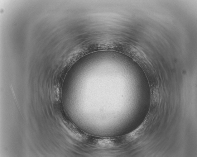 X0000086980183200704231828