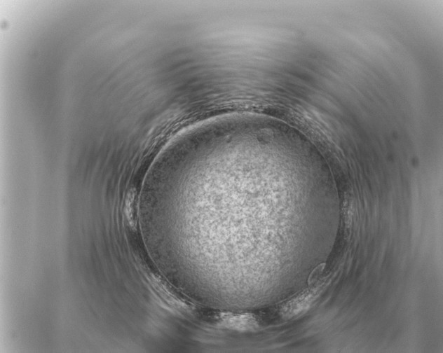 X0000086980185200704231828