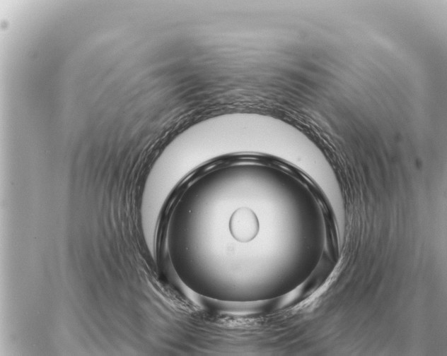 X0000086980186200704231828