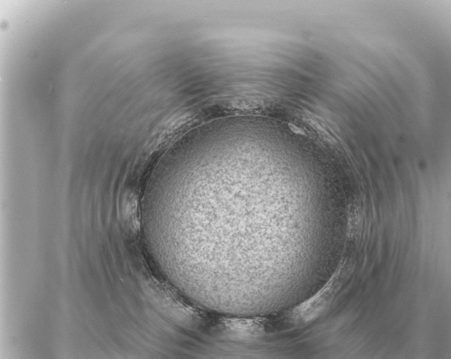 X0000086980187200704231828