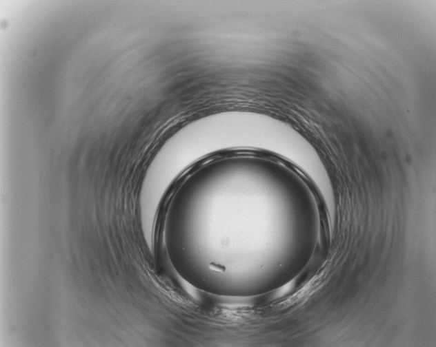 X0000086980188200704231828