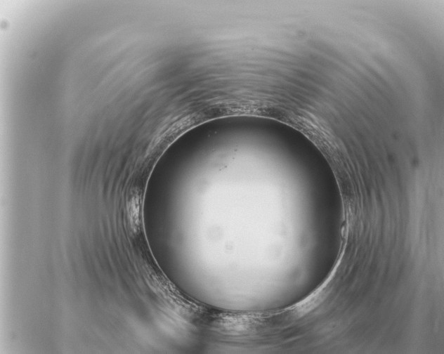 X0000086980190200704231829