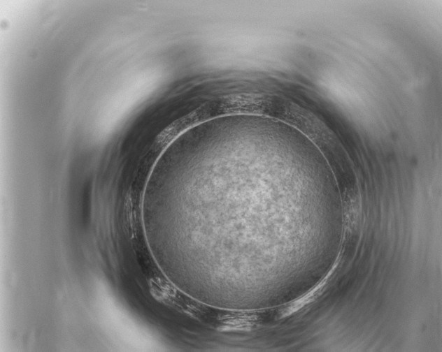 X0000086980191200704231829