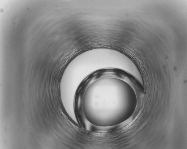 X0000086980192200704231829