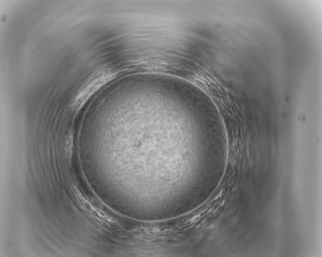 X0000086980194200704231828