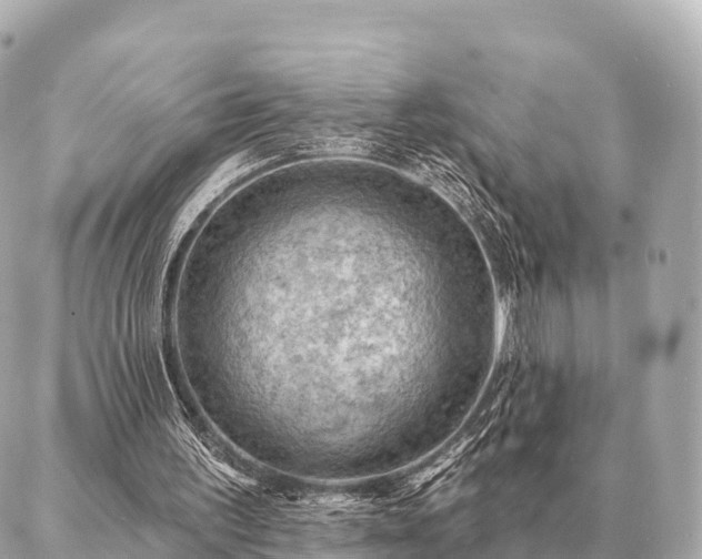 X0000086980195200704231828