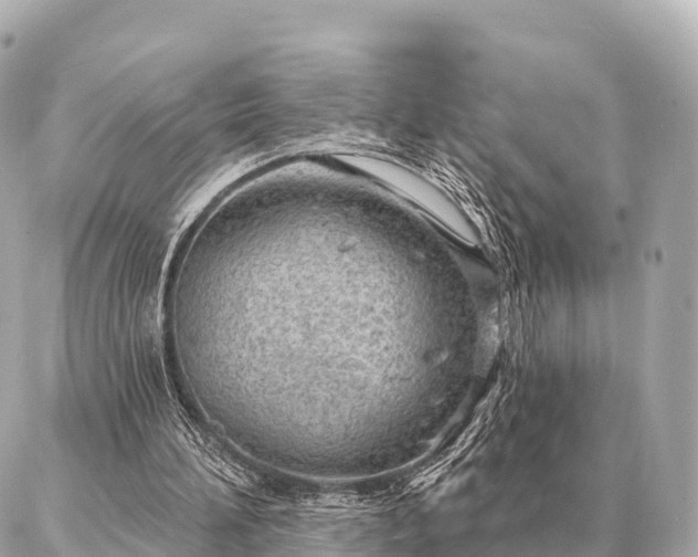 X0000086980196200704231828