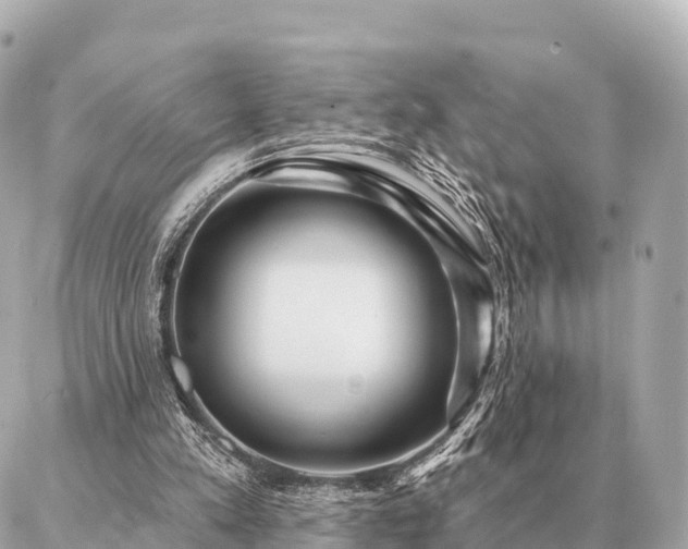 X0000086980197200704231828