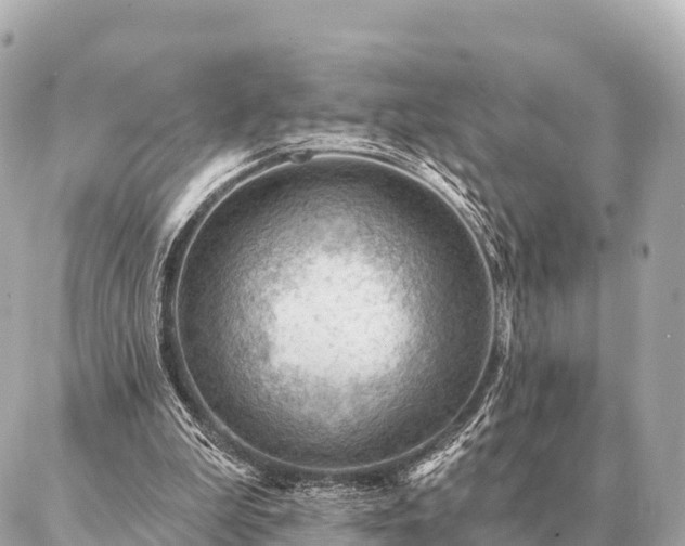 X0000086980199200704231828