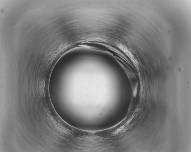 X0000086980201200704231828