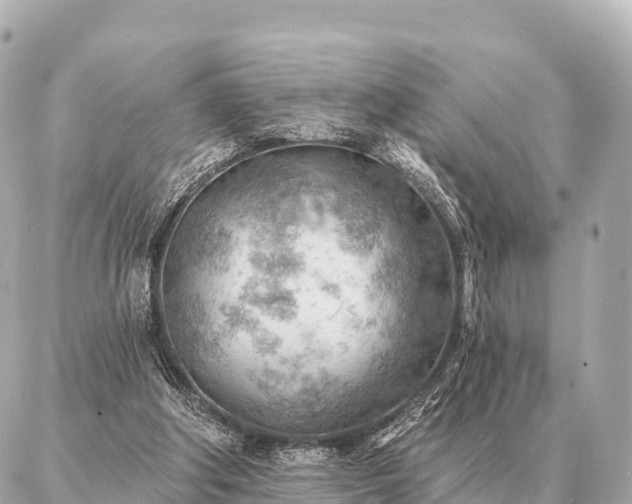 X0000086980202200704231828