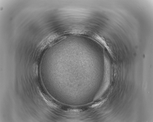 X0000086980205200704231828