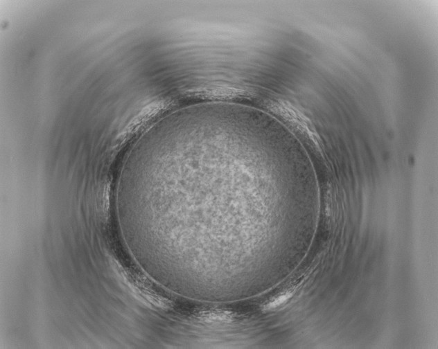 X0000086980206200704231828