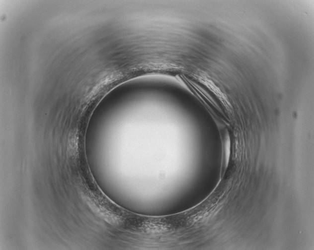 X0000086980207200704231828