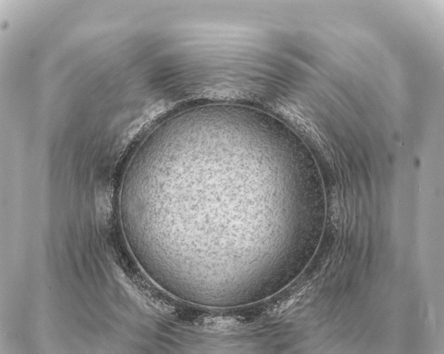 X0000086980208200704231828