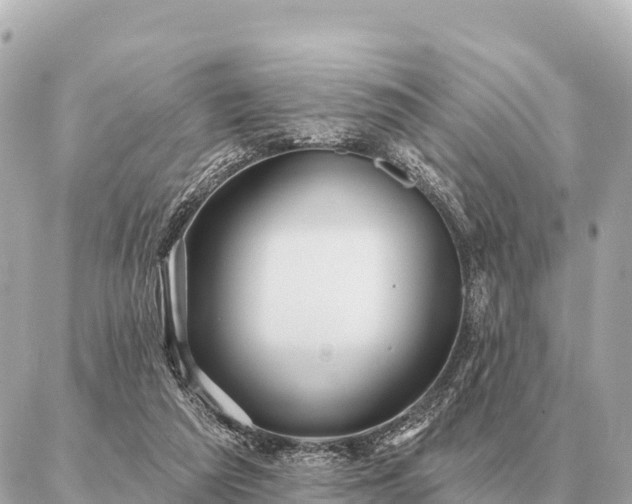 X0000086980209200704231827