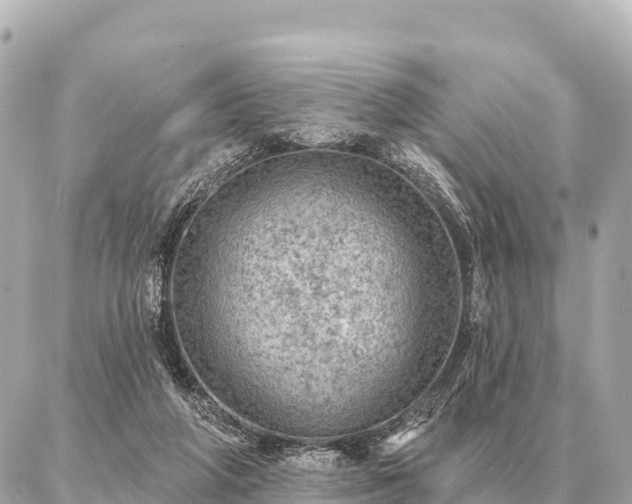 X0000086980210200704231827