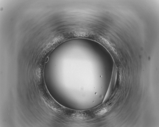 X0000086980211200704231827