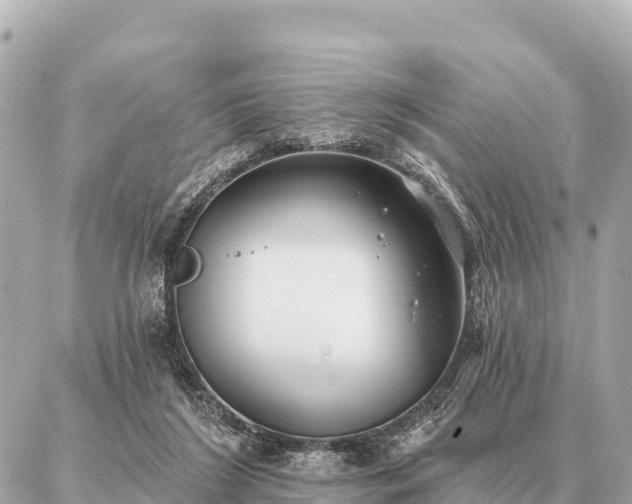 X0000086980212200704231827