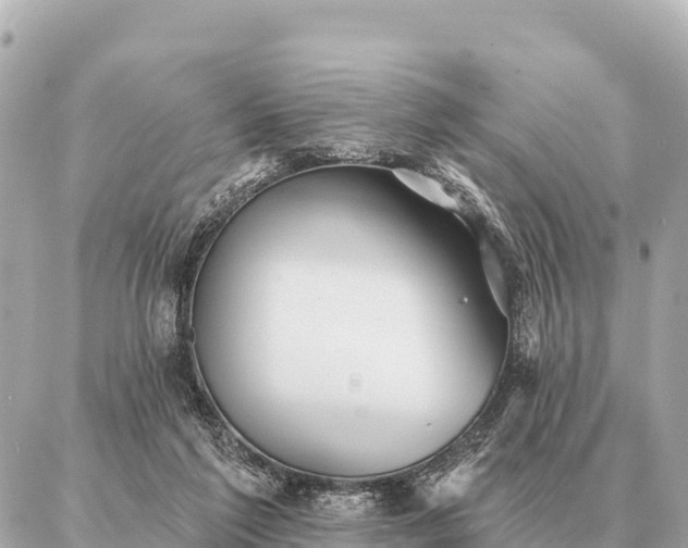 X0000086980213200704231827