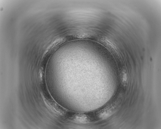 X0000086980214200704231827