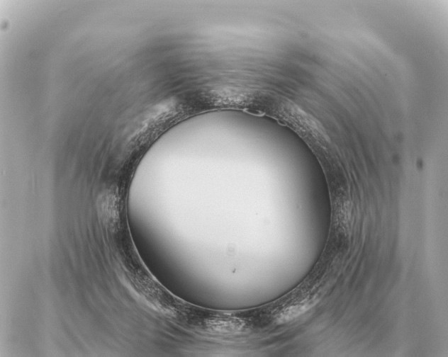 X0000086980215200704231827