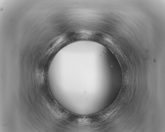 X0000086980216200704231827