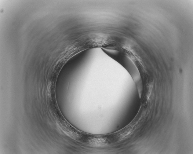 X0000086980217200704231827