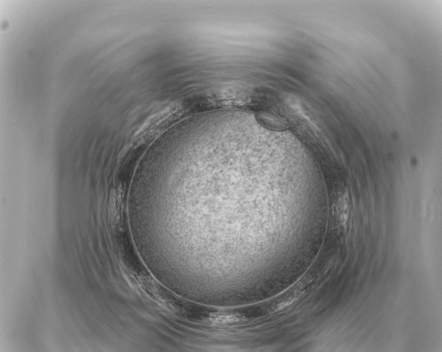 X0000086980218200704231827