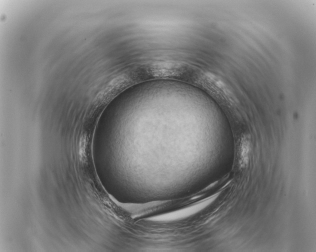 X0000086980219200704231827