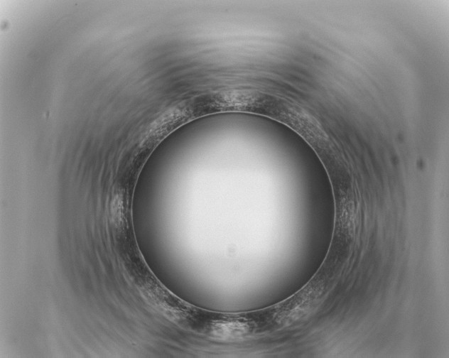 X0000086980220200704231827