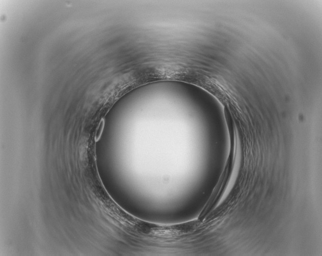 X0000086980221200704231827