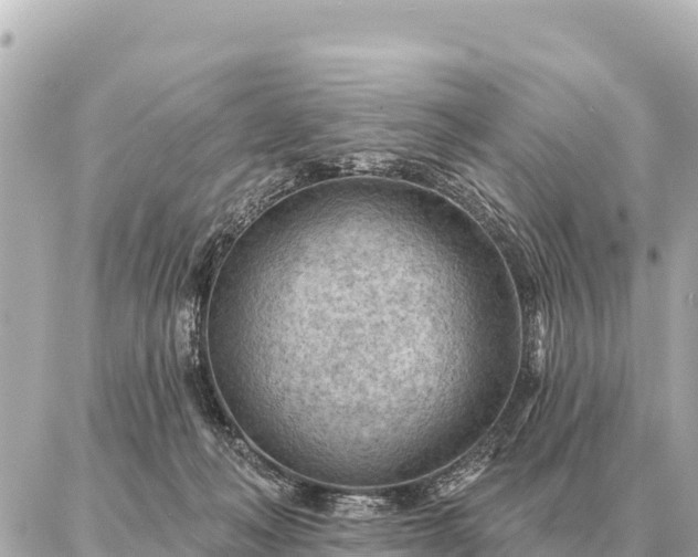 X0000086980222200704231827