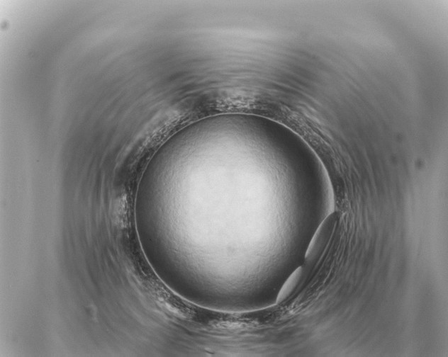 X0000086980224200704231827