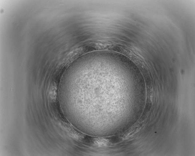 X0000086980226200704231827