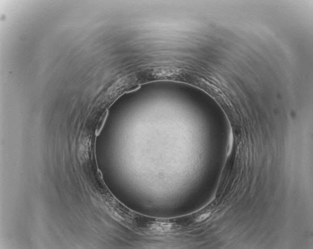 X0000086980227200704231827