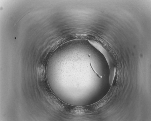 X0000086980228200704231827